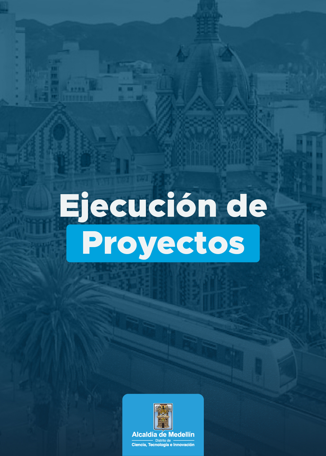 Previsualizacion del PDF de Ejecución de proyectos